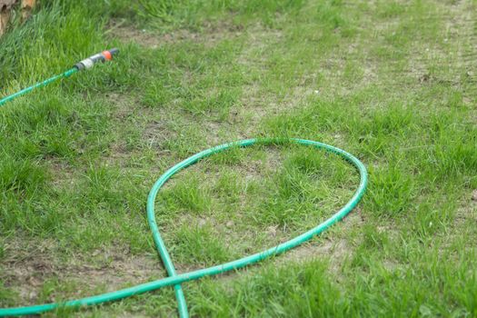 A garden hose lies outside in the garden