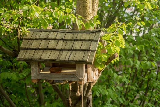 A small birdhouse hangs on the tree