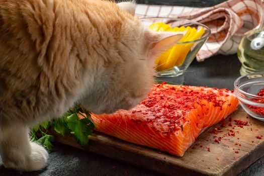 Cat is trying to steal from the table and eat a piece of salmon fillet - photo, image.