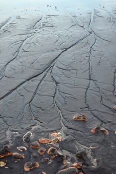 pollution sawdust on Tanjung Batu Beach in Tarakan Indonesia