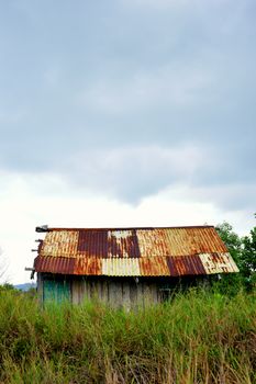 old house in the grove of scrub grass