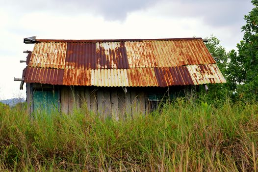 old house in the grove of scrub grass