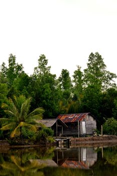 the house by the pond