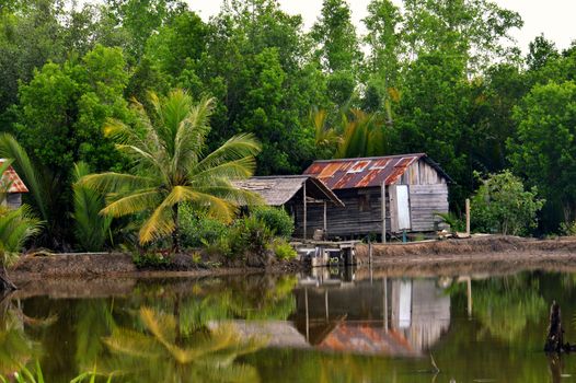 the house by the pond