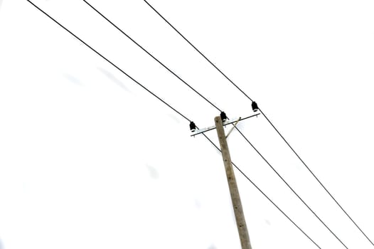 electricity poles against the sky