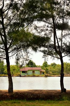 the house by the pond