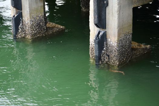 concrete pier on Tengkayu seaport Tarakan Indonesia