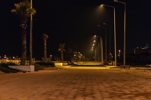 a night shoot from coastal road - palm trees and city lights. photo has taken at izmir/turkey.