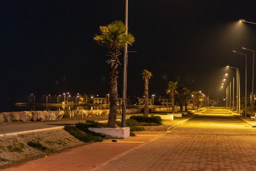 a wide view night shoot from coastal road - palm trees and city lights. photo has taken at izmir/turkey.