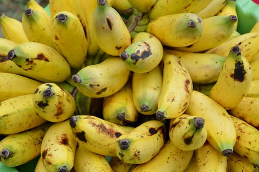 a bunch of bananas