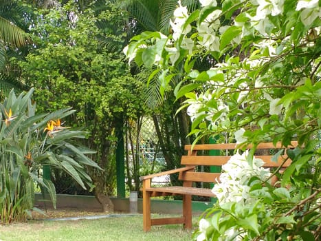 Wooden bench in the shade, at the bottom of the garden, surrounded by flowers and green forest, in sunny day