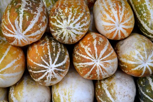 cantaloupe fruit background