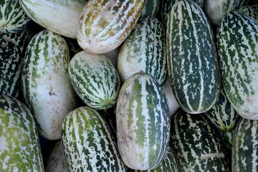 cantaloupe fruit background