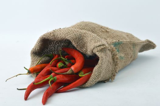 big chili red in a burlap sack on white background