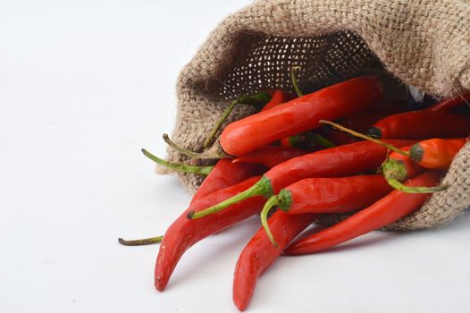 big chili red in a burlap sack on white background