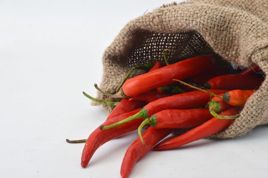 big chili red in a burlap sack on white background