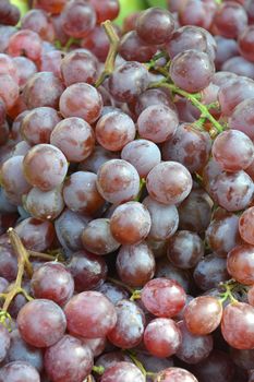 red grapes background