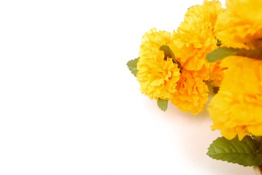 Fake marigold on white background.