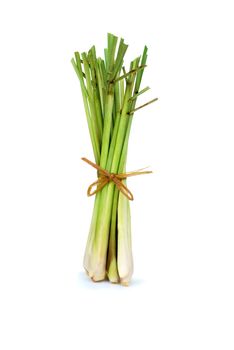 Lemongrass is an important ingredient in Thai food.With Clipping Path.