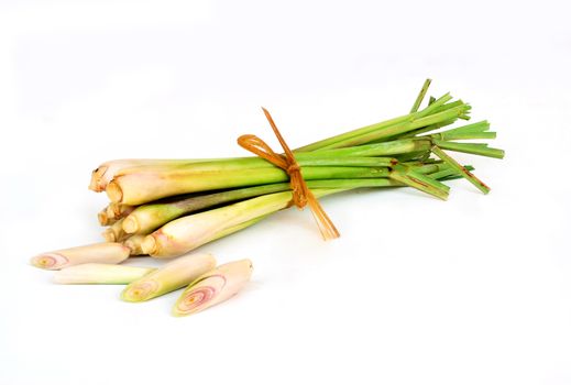 Lemongrass is an important ingredient in Thai food.Oil extraction is a mixture of general business.