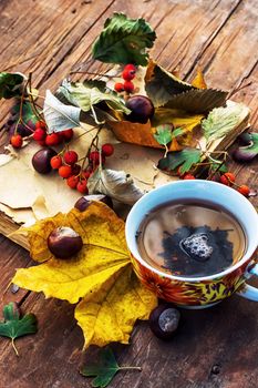 Symbols of autumn, fallen leaves, November, tea