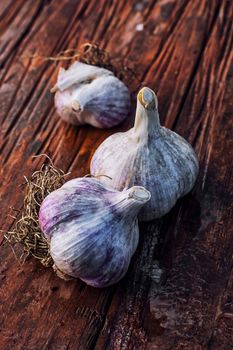 Garlic autumn harvest on wooden table