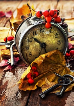 Autumn still life with an alarm clock and fallen leaves.