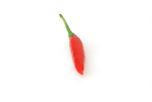 Capsicum frutescens L. Chilli Pepper.Chili has anti-oxidants, helps slow down aging.