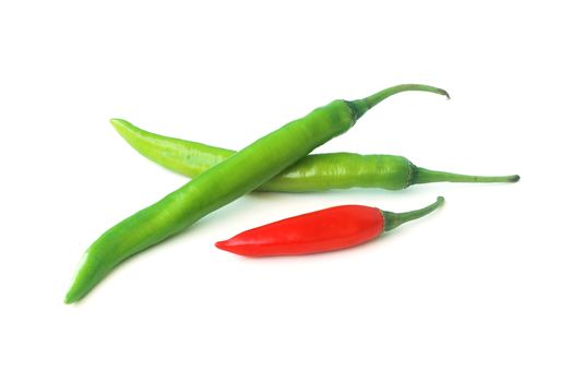 Capsicum frutescens L. Chilli Pepper.Chili has anti-oxidants, helps slow down aging.