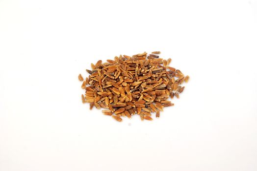 Aster seeds  on white background.