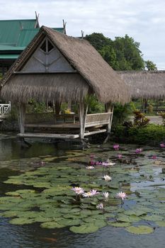 gazebo in a lotus pond at Pangkep, Indonesia