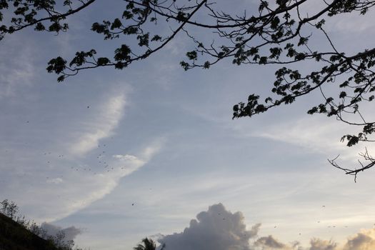 Karajae river mouth at Pare-pare Indonesia