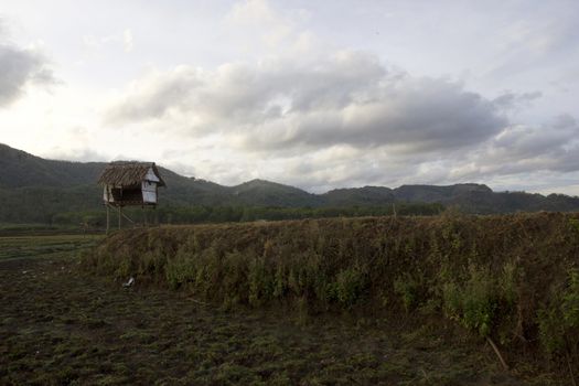 beautiful village panaroma on South Sulawesi