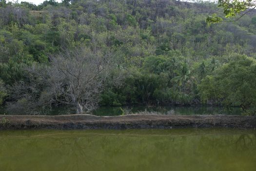 beautiful village panaroma on South Sulawesi