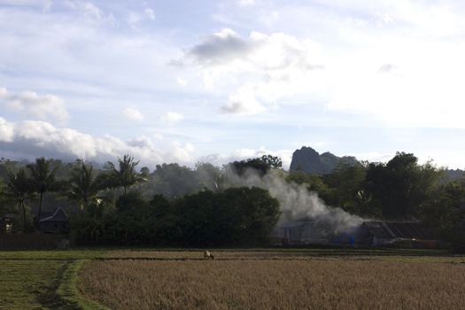lexpanse of rice fields stretched a village panaroma on South Sulawesi
