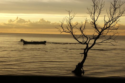 Panorama Palippi  beach at Majene Indonesia