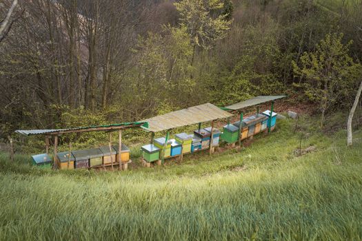 Bee hives on meadow in countryside of Italy,Bergamo(Seriana valley}The houses of the bees are placed on the green grass in the mountains. Private enterprise for beekeeping. Honey healthy food products.