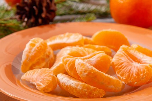 Several peeled tangerine slices on an orange plate with tree branches and a cone-a traditional Christmas and new year's composition in Russia.