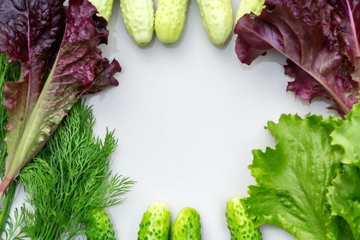 Background in the form of a frame with a place for text of fresh cucumbers, leaf lettuce and dill - ingredients for preparing summer salad of their vegetables.