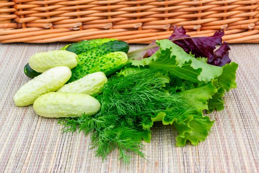Multi-colored leaf lettuce, cucumbers, dill on a wicker napkin prepared for slicing salad.