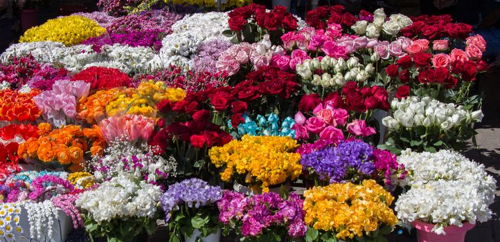 Fresh colorful Flowers put in vases at the florists