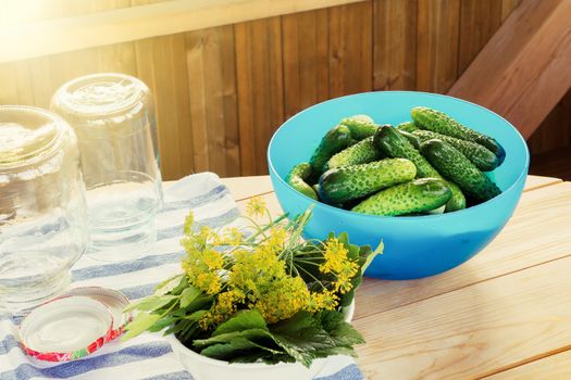 process of canning the crop of cucumbers in prepared jars.