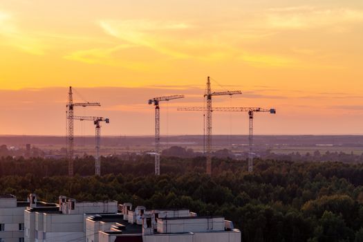 Several construction cranes on the background of colorful sunset sky.