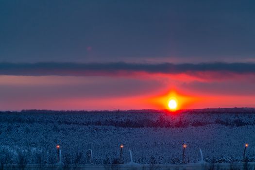 Beautiful winter landscape. View of the snow-covered pine forest at sunset.