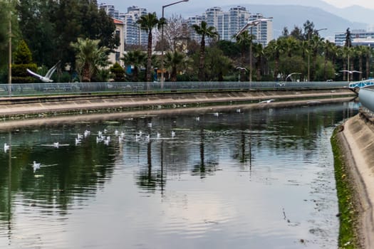 a good looking landscape from a canal at mavisehir. photo has taken at izmir/turkey.