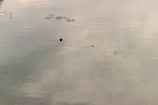 a gray dirty canal water at middle of city. photo has taken at izmir/turkey.