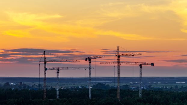 Several construction cranes on the background of colorful sunset sky.