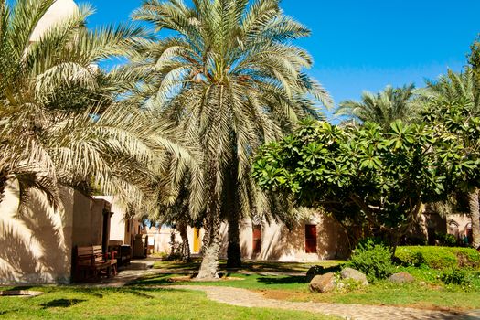 Decorative elements of urban improvement in the resort town - bed made of natural materials under a canopy, Heritage Village, Abu Dhabi.