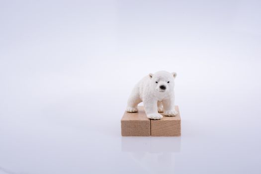 Polar bear is on  the bullding blocks on white bakcground