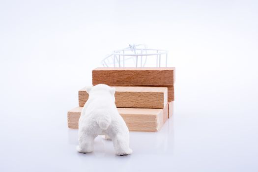 Polar bear is on  the bullding blocks on white bakcground